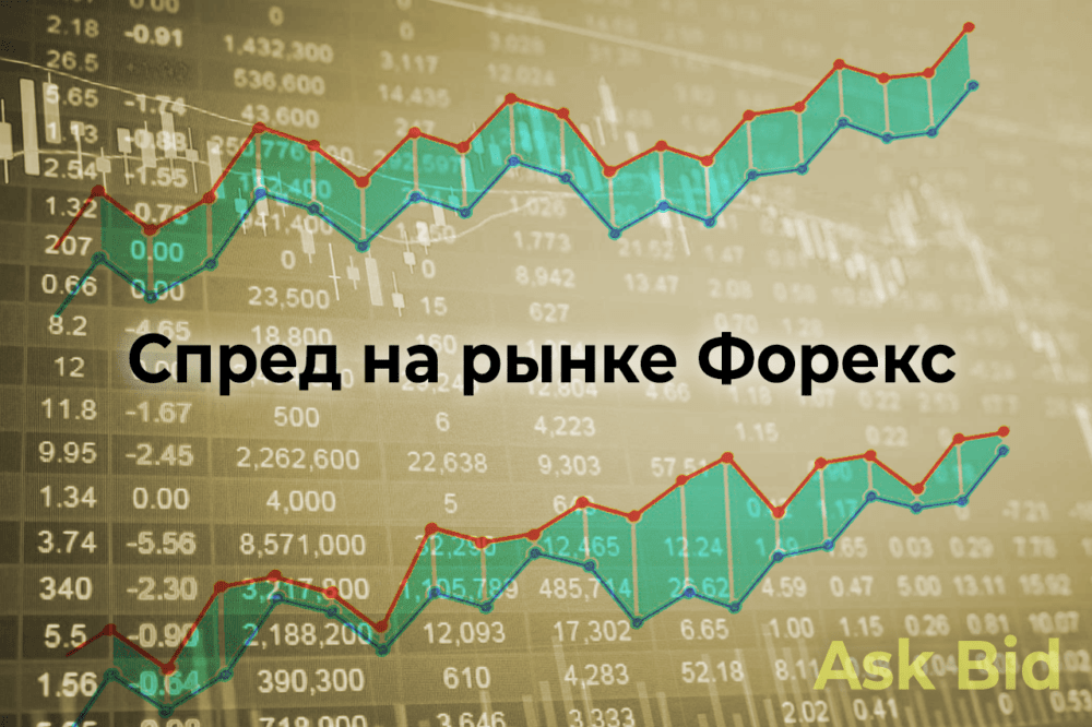 Спред рынка форекс